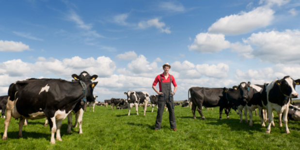Farmers employment agreements are being checked.
