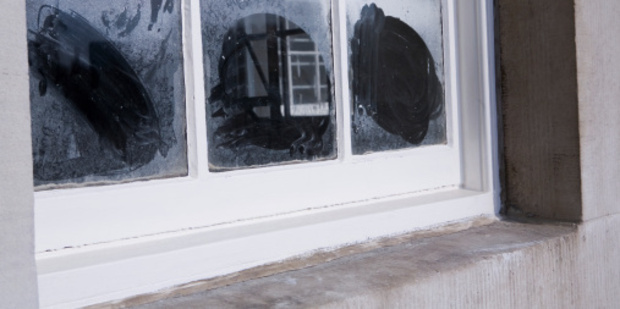 When official data is released on New Zealand's worst spots for leaking homes, Auckland beats other areas. Photo / Thinkstock