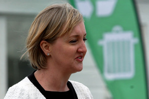 Environment Minister Amy Adams. Photo / Stuart Munro