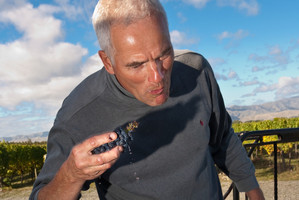 Staete Landt's Ruud Maasdam samples the pinot noir harvest. Photo / Supplied
