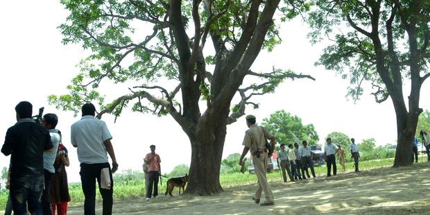 The tree where two teenage girls were found hanging after they were gang raped in Katra village in northern India. Photo / AP