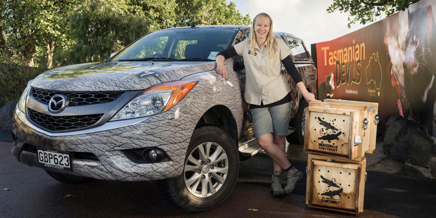 Tineke Joustra delivered Tasmanian devils to Auckland Zoo using the Mazda BT-50.Picture / Ted Baghurst