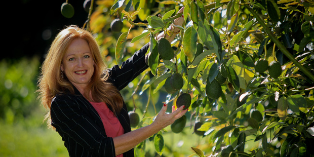 NZ Avocado Growers' Association chief executive Jen Scoular.