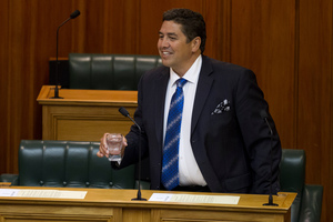 Former NZ First MP Brendan Horan. Photo / Mark Mitchell