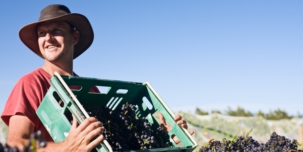 Lance Redgwell of Cambridge Road Wines.