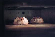 Breed from Leeds Street bakery. Photo / Supplied.