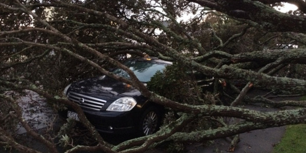 A car on King Edward Parade this morning.