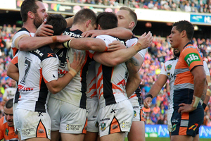 Tigers players celebrate a try during their win over Newcastle. Photo /Getty Images