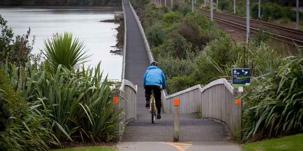 The plan includes widening a 2m boardwalk beside the rail embankment through Orakei Basin. Photo / Sarah Ivey