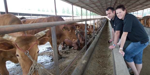 Mike and Donna Wilkins visit the Dachang Fuhua cattle farm east of Beijing. Photo / Mark Mitchell