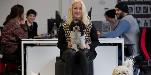 Red11 agency director Mandy Jacobsen with (from left) Ziggy, Jed and Harry. Photo / Richard Robinson