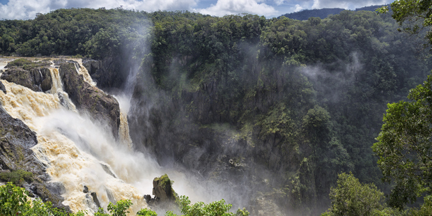 The rainforests of North Queensland have supported Aboriginal populations for thousands of years. Photo / Getty Images