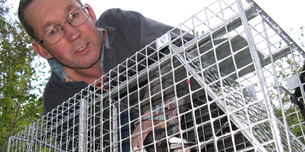 Neale Blaymire magpie trap