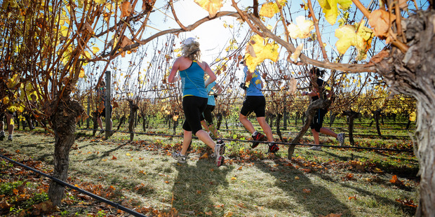 The Saint Clair Half Marathon takes runners through some of the region's wineries.