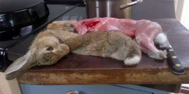 The author - who was a vegetarian for nine years - posted a somewhat graphic picture of a carcass on her kitchen counter.
Photo / Jeanette Winterson
