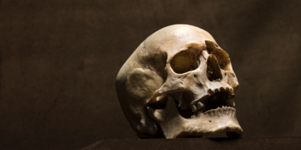 New research on 17 skulls from a collection of 430,000-year-old remains found. Photo / Thinkstock