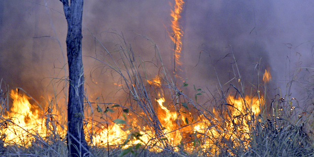 The DoC says the training is relevant as it was often asked to provide firefighters for "extreme fire environments" to Oz, Canada and the US. Photo / Thinkstock