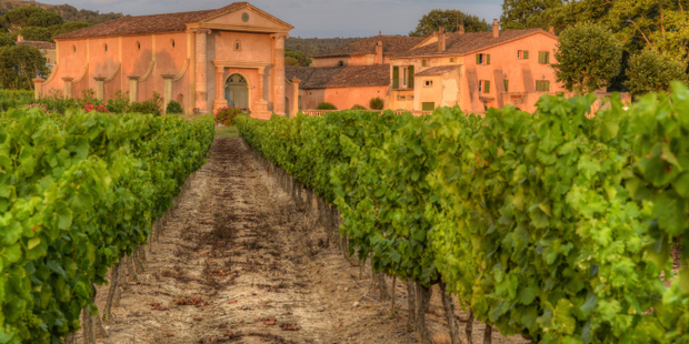 Winemakers say the decision to open up access to .wine and .vin domain names will make it easier for unethical wine sellers to deceive customers about the origin of their goods. Photo / Thinkstock