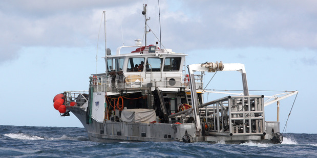 TTR estimates its project will generate $147m a year in exports for NZ. Photo / Wanganui Chronicle