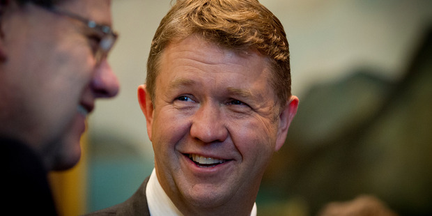 Labour Party leader David Cunliffe. Photo / Sarah Ive