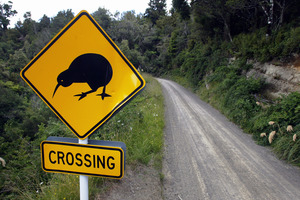 File photo / Hawke's Bay Today