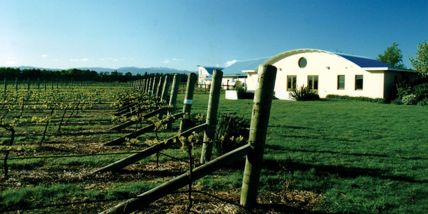 Martinborough Vineyard. Photo / Carla Burns Palliser, WTA