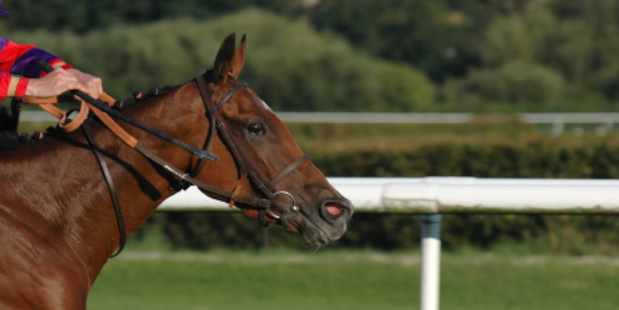 Dexter Dunn is excited with the way Christen Me has returned to the stable for next season. Photo / Thinkstock