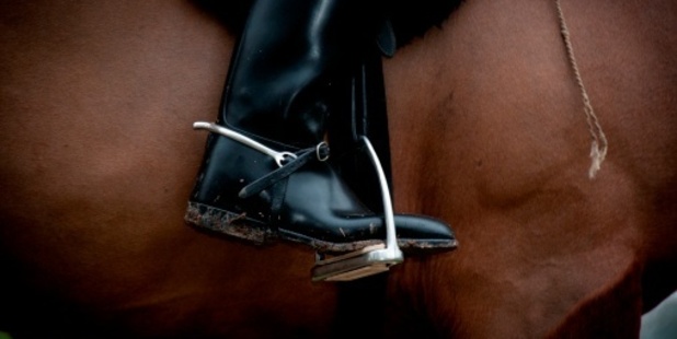 RQ is yet to decide how the money will be distributed among the three racing codes. Photo / Thinkstock