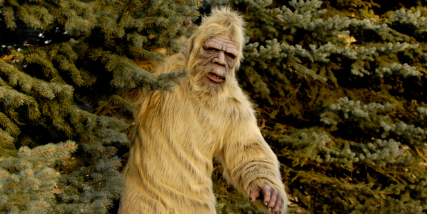 Photo / File / Thinkstock