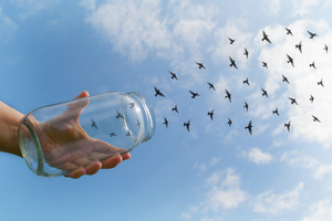 How do we know when to let go? Photo / Thinkstock