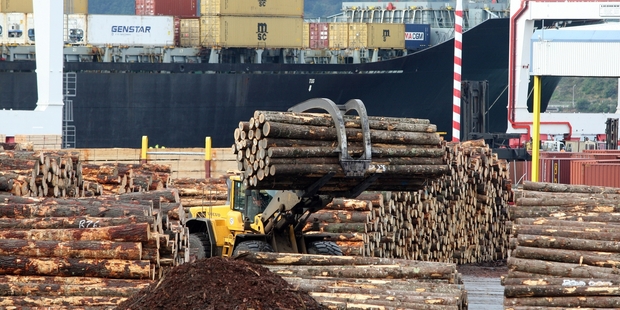 Log prices fell 5 per cent last month as large stockpiles built up at Chinese ports. Photo / Mark Mitchell