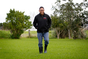 Shots were fired at Hone Harawira's electorate office last week. Photo / Sarah Ivey