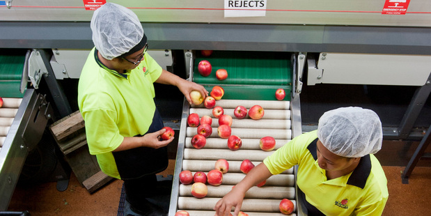 The Scales share offer is priced in an indicative $1.60 to $1.85 per share range. Photo / APN