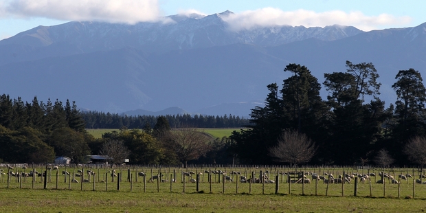 A light dusting of snow on the Ruahine Range yesterday, above farmland near Wakarara, Central Hawke's Bay. Photo/Duncan/Brown