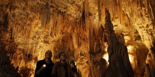 Tourism Holdings, which runs operations at Waitomo Caves, says strong marketing has brought in more tourists.