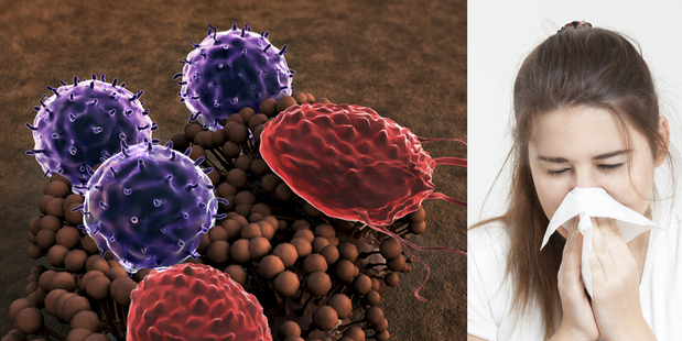 A controversial scientist has created a strain of the flu virus that evades the human immune system. Photos / Thinkstock