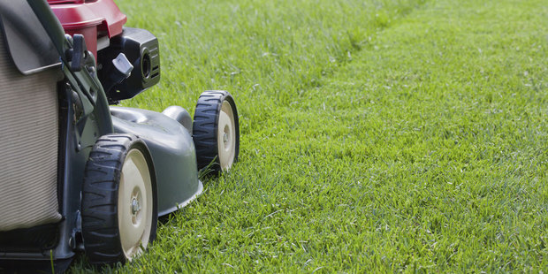 Photo / Thinkstock