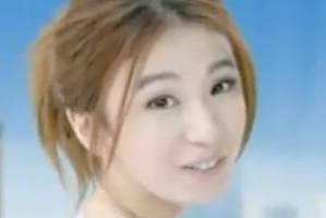 One of the strangest political parodies of the 2014 election is the Chinese Teamkey waste disposal company.