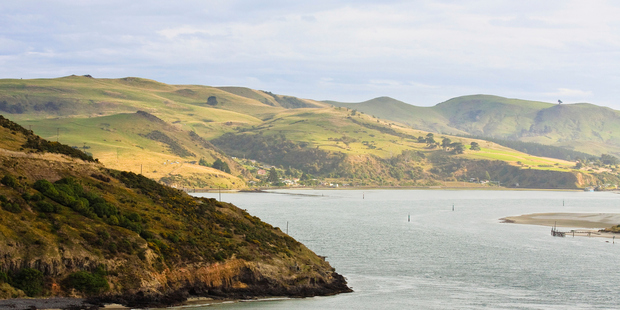 A young man high on synthetic cannabis tried to drive himself, his partner and their child into Otago Harbour (pictured). Photo / Getty Images