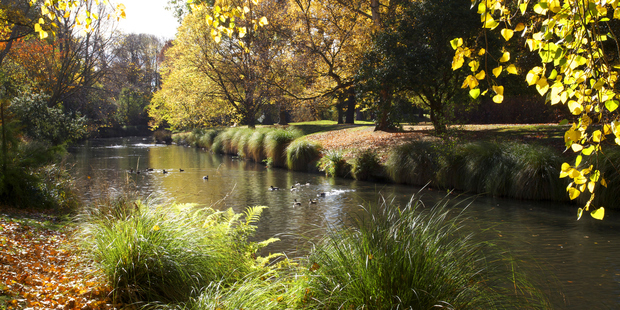 The formal memorial for the victims of Christchurch's February 22 earthquake will be built on the banks of the Avon River. Photo / Thinkstock