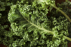Why is everyone crazy for kale? Photo / Thinkstock Why is everyone crazy for kale? Photo / Thinkstock