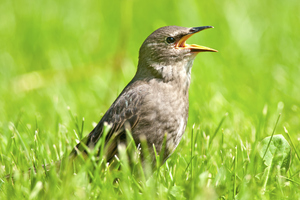 Photo / Thinkstock