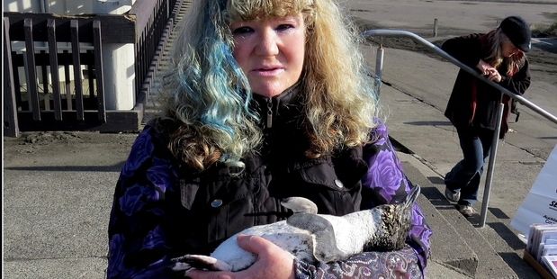 FOUND: Joy Clark with the little blue penguin. Photo/Suppled