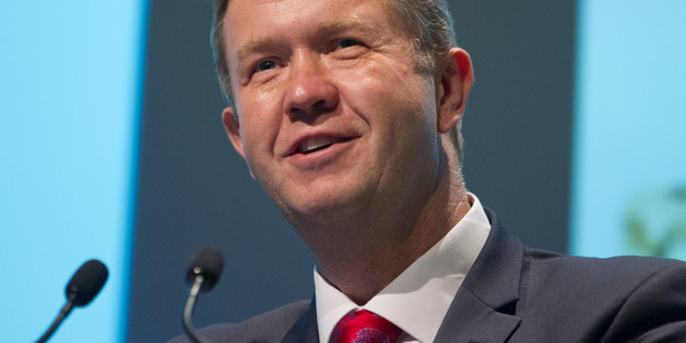 Labour leader David Cunliffe. Photo / Mark Mitchell