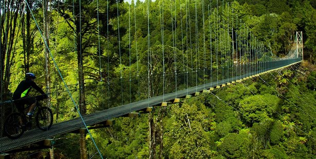 One of the suspension bridges on the Timber Trail, part of the Nga Haerenga national cycle trail between Pureora and Ongarue (near Te Kuiti and Taumarunui). Photo / Elisabeth Easther