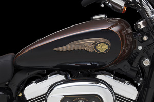 Harley-Davidson is recalling 66,421 2014 model year Touring and CVO Touring motorcycles for a brake fault.