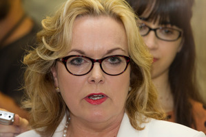 Judith Collins' Twitter use has landed her in hot water. Photo / Mark Mitchell