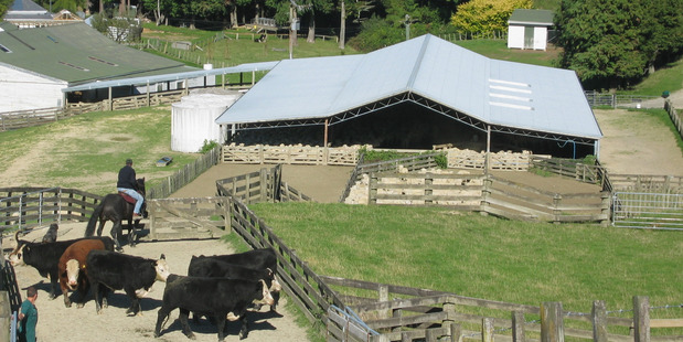 Rural land prices have trebled since 2000.