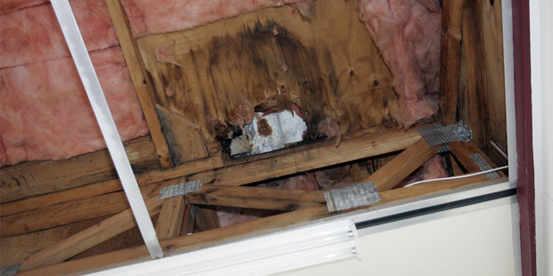 Anita Finnigan's leaky house was built between 2004 and 2006. Photo / APN