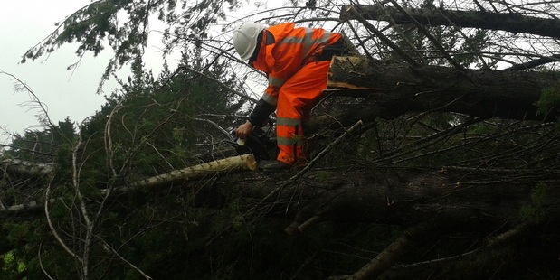 Six trees came down in this week's storm at Chris Clarke's place, 15 minutes north of Helensville, and after five hours of chainsawing, he'd only cleared out 3m of space. Photo / Chris Clarke